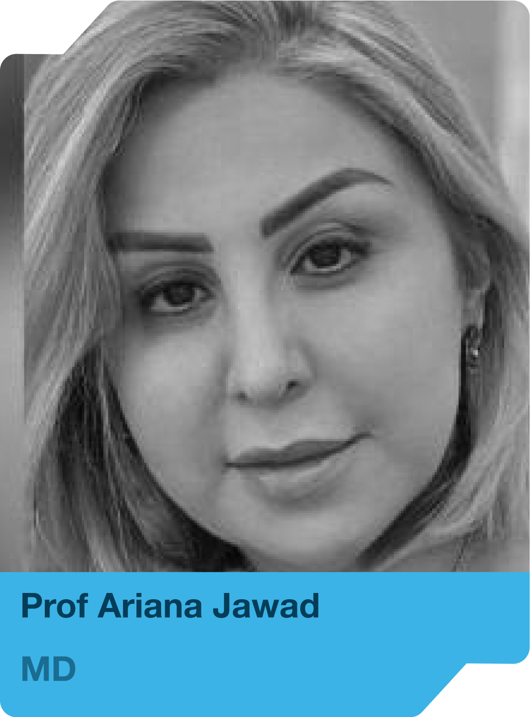 Scientific Committee Member